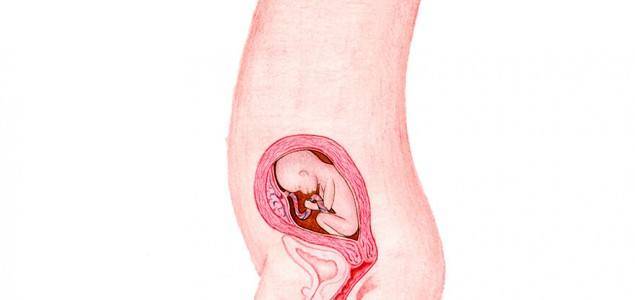 Pregnancy Week 20: Do you feel your baby already?