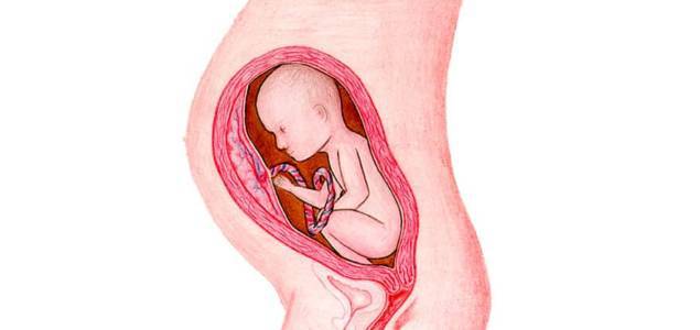 Pregnancy Week 34: On maternity leave